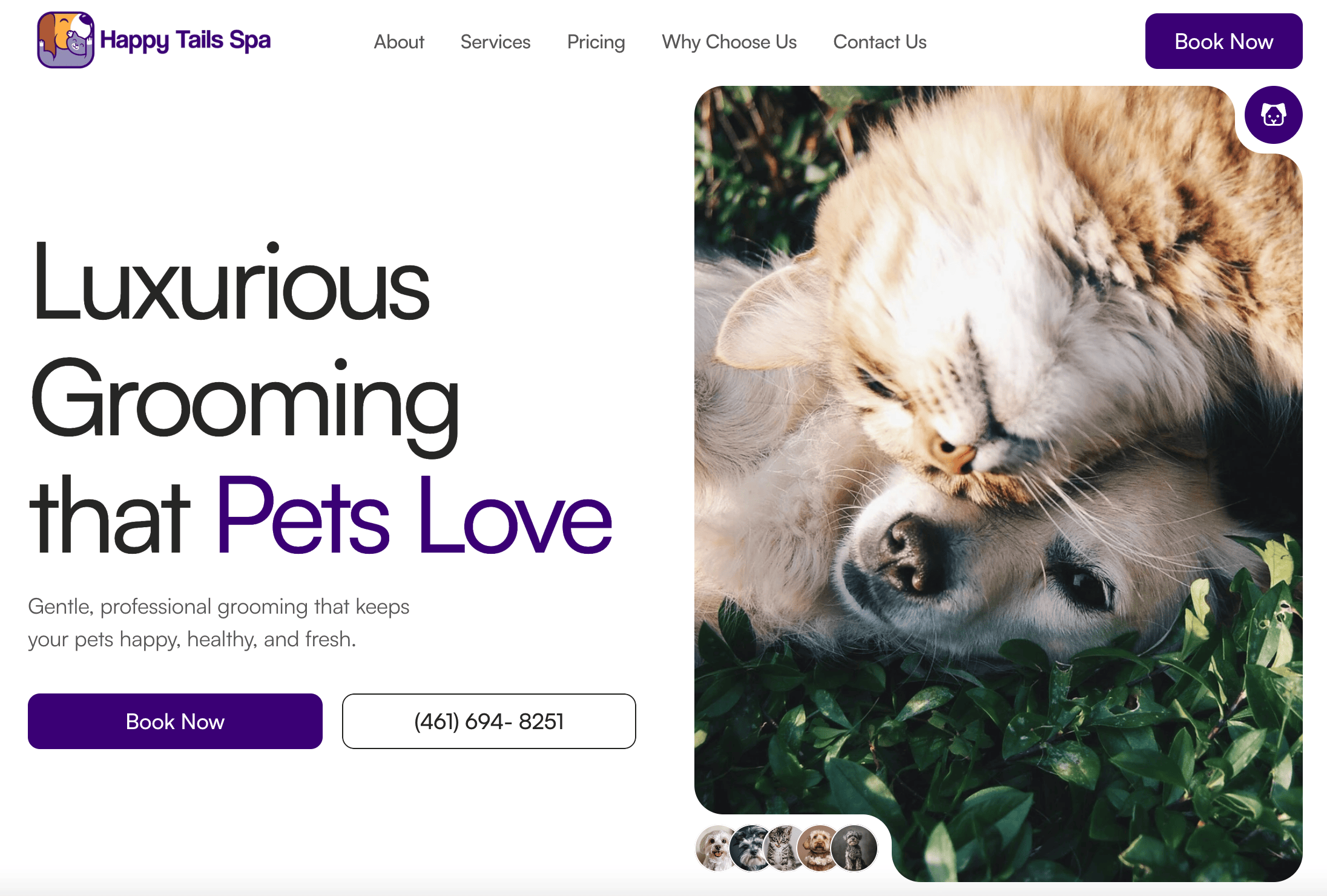 Groomer Stack vs Groomer.io Which Grooming Software Is Better for Your Business