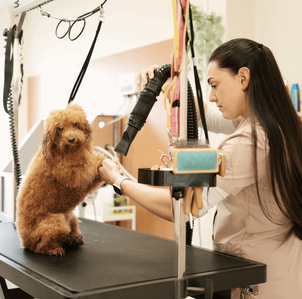 Grooming Person with Dog