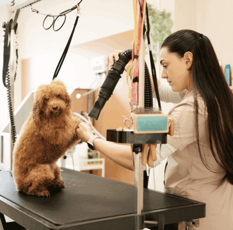 Lady Grooming a Dog